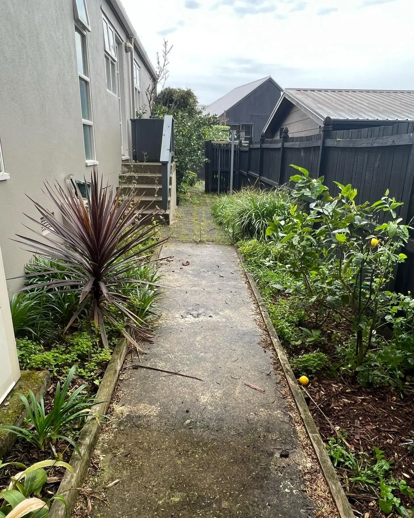 pressure wash pathway