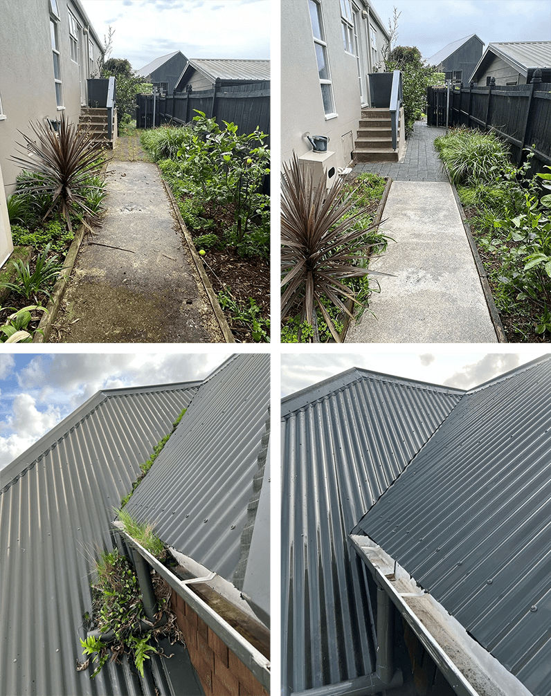 gutter cleaning