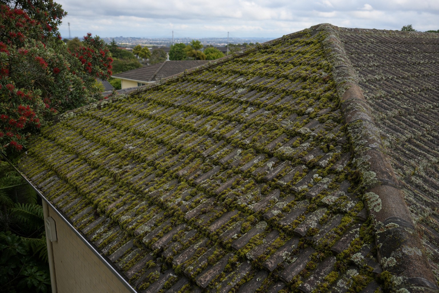 Moss and lichen covering concrete roof tiles on Auckland home before professional roof treatment — Essential Water Blasting