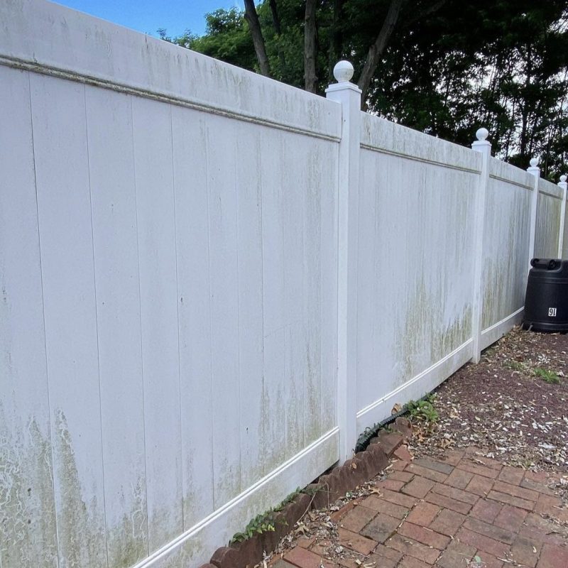 fence cleaning