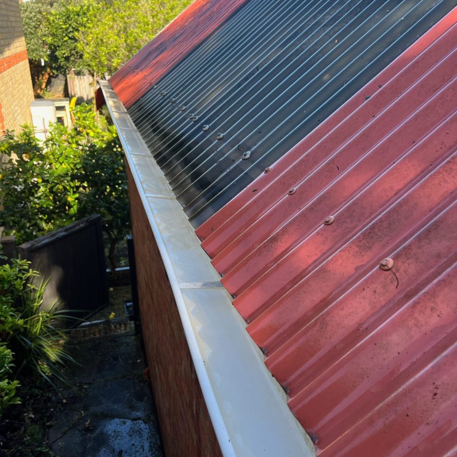 gutter cleaning